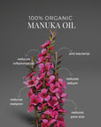 purifying manuka toner